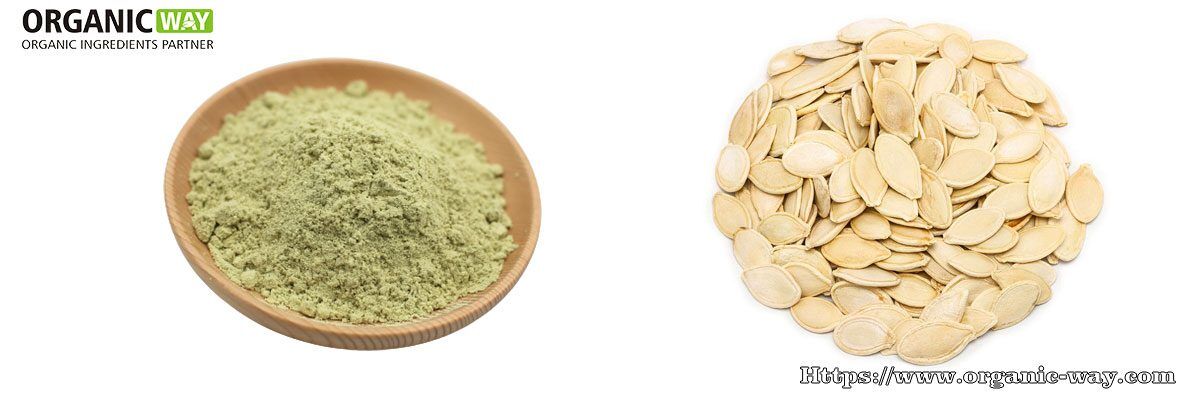 Organic Pumpkin Seed Protein Powder Organic Pumpkin Seed Protein Powder
