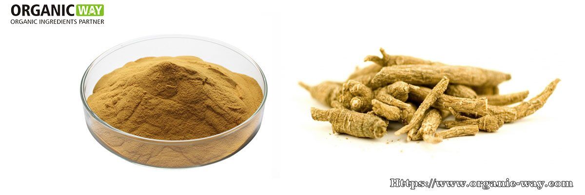 Organic Siberian Ginseng Extract Powder Organic Siberian Ginseng Extract Powder