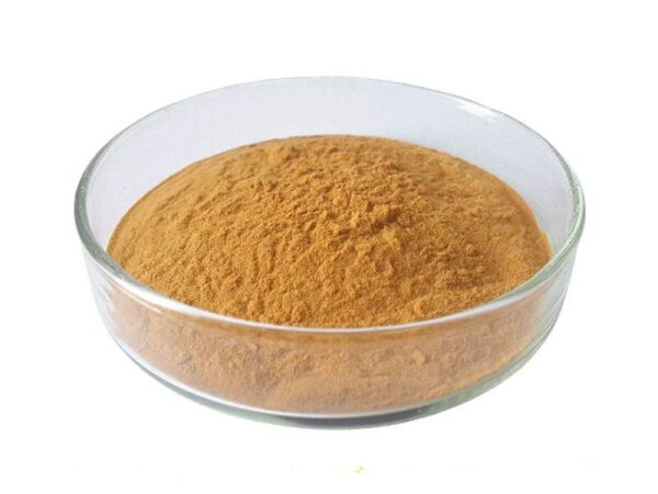 Organic Green Tea Extract Powder