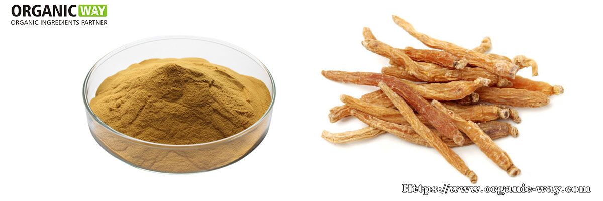 organic red ginseng powder