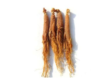 radice di ginseng rosso biologico