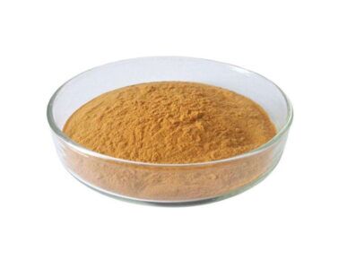 organic shiitake mushroom extract powder