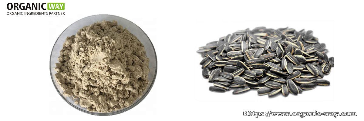 organic sunflower seed protein