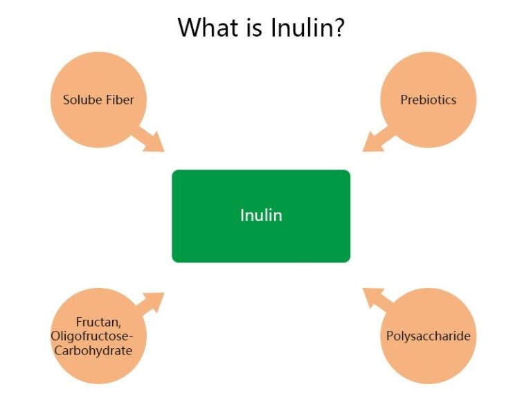 What is inulin