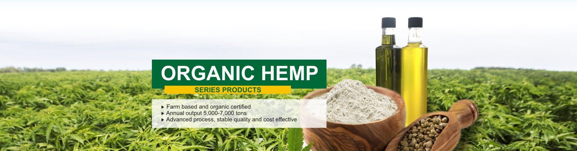 Startseite hemp banner
