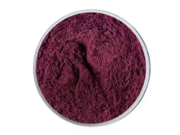 Organic Prune Powder