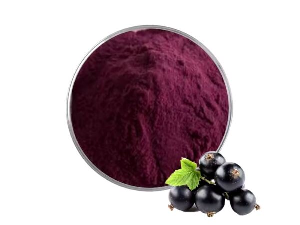 Organic Black Currant Powder